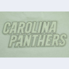 Carolina Panthers Pro Standard Women's Oversized Cropped Neutral Pullover Sweatshirt Light Green | NFL