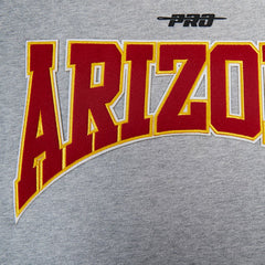 Arizona Cardinals Pro Standard Crest Emblem Pullover Sweatshirt Heather Gray | NFL