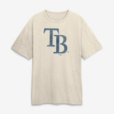 Tampa Bay Rays Fanatics Stadium Slub T-Shirt - MLB