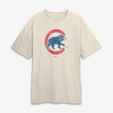 Chicago Cubs Fanatics Stadium Slub T-Shirt - MLB