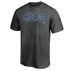 Chicago Cubs Official Wordmark T-Shirt - MLB