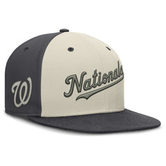 Washington Nationals Nike Dri-FIT True Fitted Hat - MLB