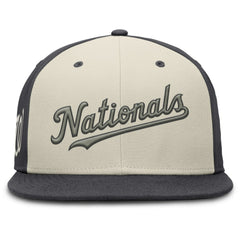 Washington Nationals Nike Dri-FIT True Fitted Hat - MLB