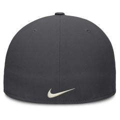 Boston Red Sox Nike Dri-FIT True Fitted Hat - MLB