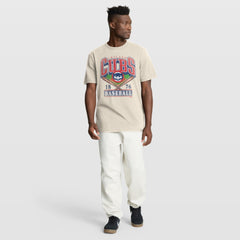 Chicago Cubs Fanatics Stadium Slub T-Shirt - MLB