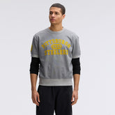 Pittsburgh Steelers IconicFleece Short Sleeve Sweatshirt Athletic Heather Gray | Fanatics