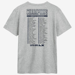 Seattle Seahawks Super Bowl LX Champions Ice Classic Roster T-Shirt Heather Gray | Nike for Sale