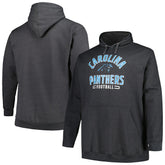 Carolina Panthers Big & Tall Pullover Hoodie Heather Charcoal | Fanatics