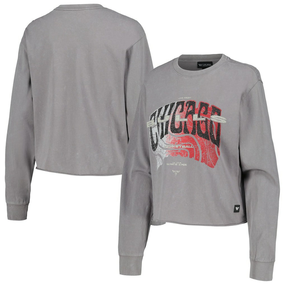 Chicago Bulls The Wild Collective Women's Band Cropped Long Sleeve T-Shirt Gray - NBA