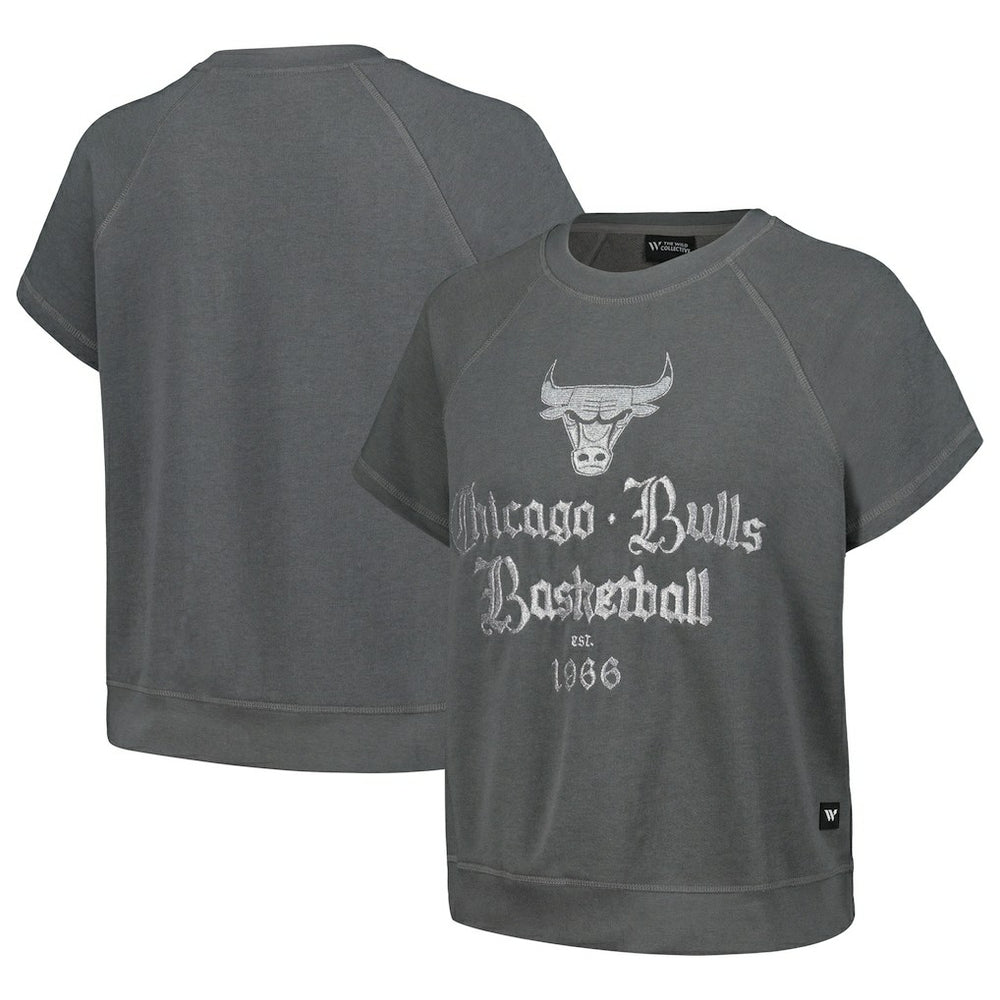 Chicago Bulls The Wild Collective Women's Embroidered Fleece Raglan Short Sleeve Pullover Sweatshirt Gray - NBA