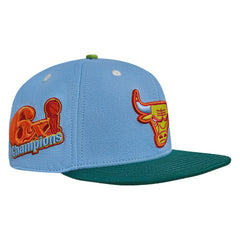 Chicago Bulls Pro Standard Retro Program 2-Tone Snapback Hat Light Blue/Green - NBA