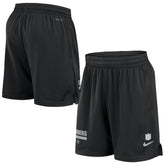 Las Vegas Raiders 2024 Sideline Performance Mesh Shorts Black | Nike for Sale
