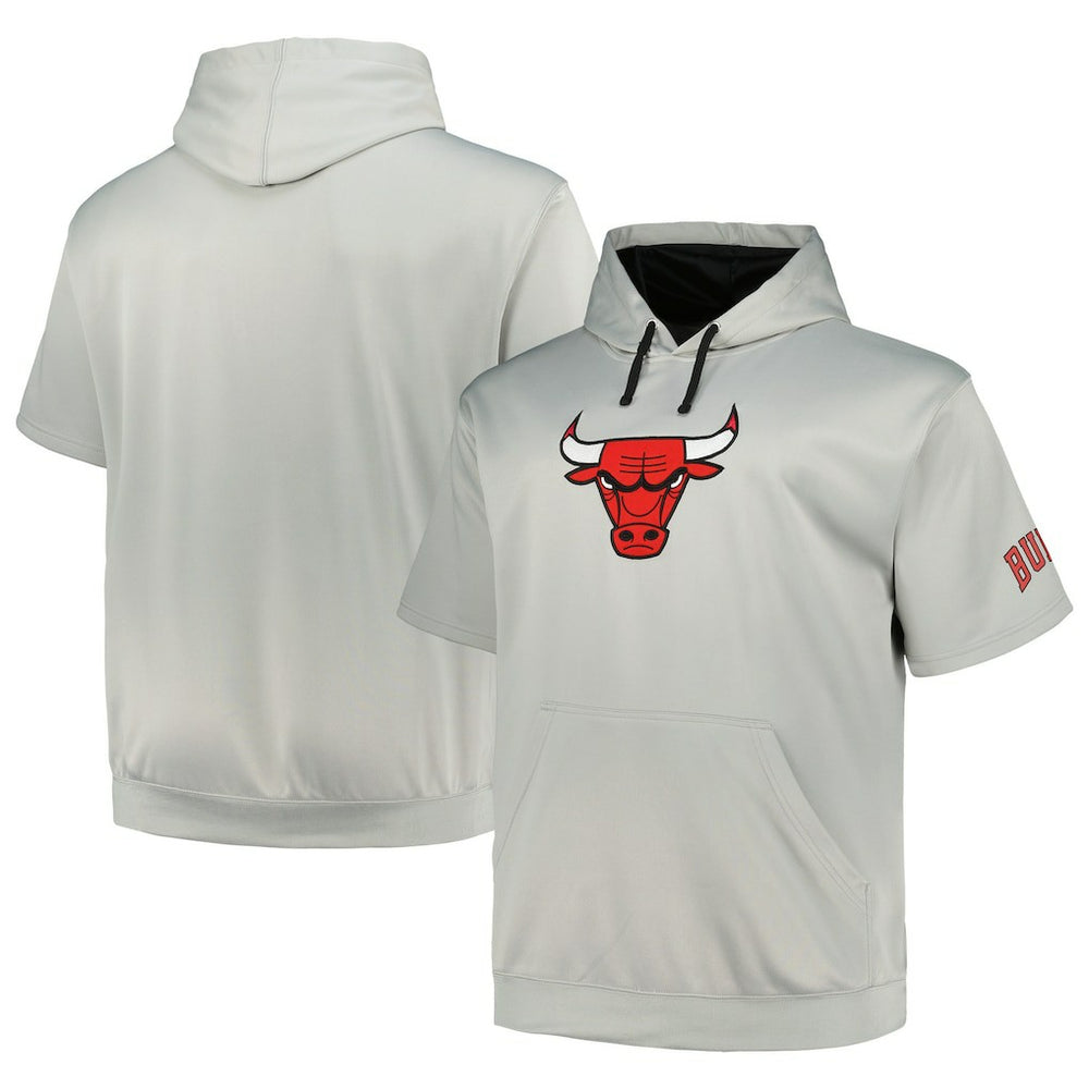 Chicago Bulls Big & Tall Logo Pullover Hoodie Silver - NBA