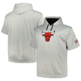 Chicago Bulls Big & Tall Logo Pullover Hoodie Silver - NBA