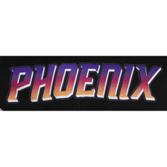 Phoenix Suns Pro Standard 2023/24 City Edition Pullover Hoodie Black - NBA