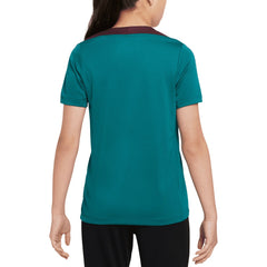 Paris Saint-Germain Youth 2024/25 Strike Training Top Teal | Nike discount