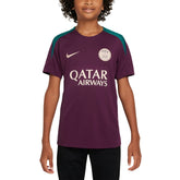 Paris Saint-Germain Youth 2024/25 Strike Training Performance Top Burgundy | Nike discount