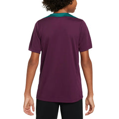 Paris Saint-Germain Youth 2024/25 Strike Training Performance Top Burgundy | Nike discount