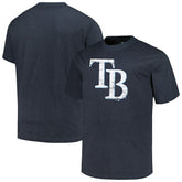 Tampa Bay Rays Profile Big & Tall Weathered Logo T-Shirt - MLB