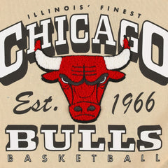 Chicago Bulls Qore Women's Oversized Cozy Mock Neck Pullover Sweatshirt Cream - NBA