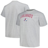 Colorado Avalanche Profile Big & Tall Arch Over Logo T-Shirt - Heather Gray - NHL