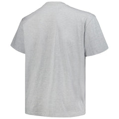 Colorado Avalanche Profile Big & Tall Arch Over Logo T-Shirt - Heather Gray - NHL