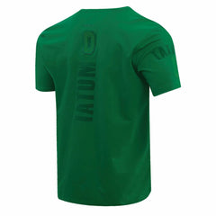Jayson Tatum Boston Celtics Pro Standard Triple Tonal Player T-Shirt Kelly Green - NBA