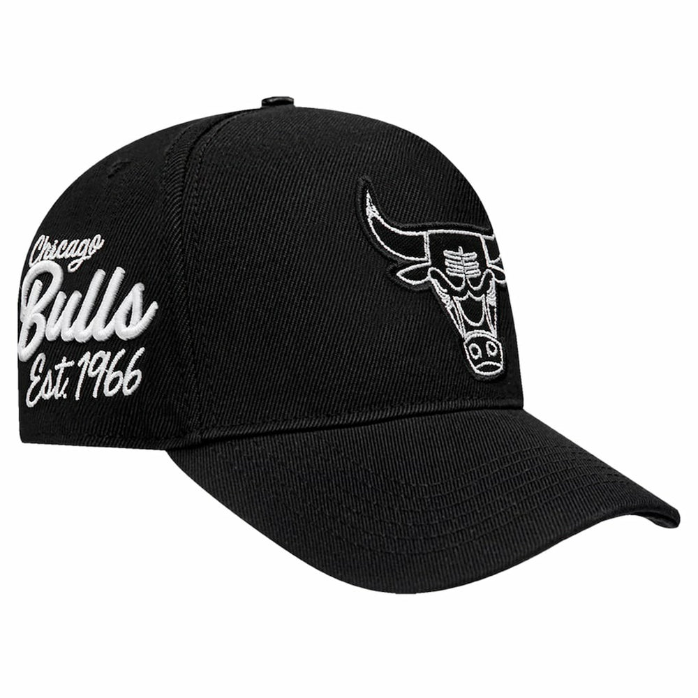 Chicago Bulls Pro Standard Paint the City Pinch Front Snapback Hat Black - NBA