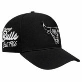 Chicago Bulls Pro Standard Paint the City Pinch Front Snapback Hat Black - NBA