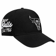 Chicago Bulls Pro Standard Paint the City Pinch Front Snapback Hat Black - NBA
