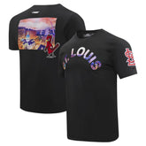 St. Louis Cardinals Pro Standard Cityscape T-Shirt - MLB
