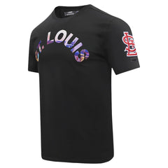 St. Louis Cardinals Pro Standard Cityscape T-Shirt - MLB