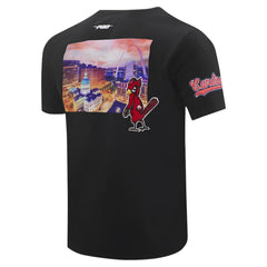St. Louis Cardinals Pro Standard Cityscape T-Shirt - MLB