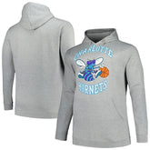 Charlotte Hornets Hardwood Classics Big & Tall Pullover Hoodie Heather Gray - NBA