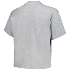 Denver Nuggets Big & Tall Hardwood Classics Vintage Logo T-Shirt Heather Gray - NBA