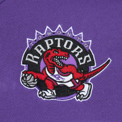Toronto Raptors Head Coach Pullover Hoodie Red/Purple - NBA
