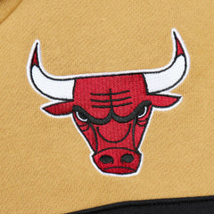 Chicago Bulls Head Coach Pullover Hoodie Red/Gold - NBA