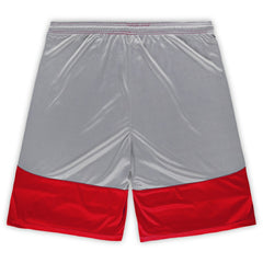 San Francisco 49ers Big & Tall Team Logo Shorts Scarlet | Fanatics