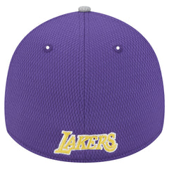 Los Angeles Lakers Active Trim 39THIRTY Flex Hat Gray/Purple - NBA