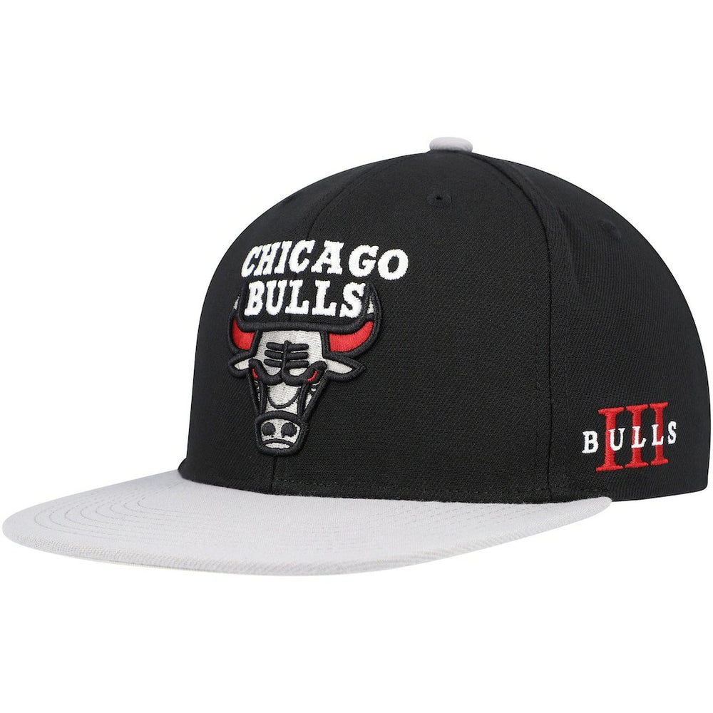 Chicago Bulls Core Snapback Hat Black/Gray - NBA