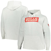 Chicago Bulls Big & Tall Raglan Tri-Blend Pullover Hoodie Ash - NBA
