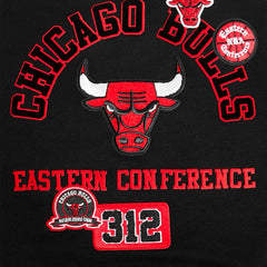 Chicago Bulls Pro Standard Women's Area Code Cropped Pullover Sweatshirt Black - NBA