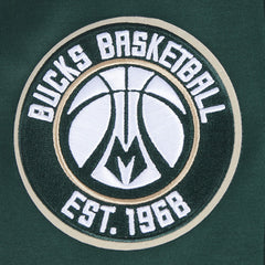 Milwaukee Bucks Pro Standard Split Logo Pullover Hoodie Hunter Green - NBA