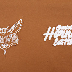 Charlotte Hornets Pro Standard Paint the City Drop Shoulder Pullover Hoodie Brown - NBA