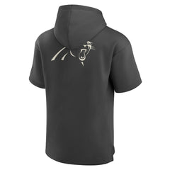 Carolina Panthers Elements Future Ground Lettering Short Sleeve Pullover Hoodie Charcoal | Fanatics
