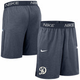 Los Angeles Dodgers Nike Authentic Collection City Connect Performance Knit Shorts - MLB