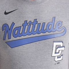 Washington Nationals Nike City Connect Script Tri-Blend T-Shirt - MLB