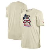 St. Louis Cardinals New Era Americana Flag Fill T-Shirt - MLB