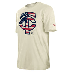 Minnesota Twins New Era Americana Flag Fill T-Shirt - MLB