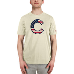 Chicago Cubs New Era Americana Flag Fill T-Shirt - MLB